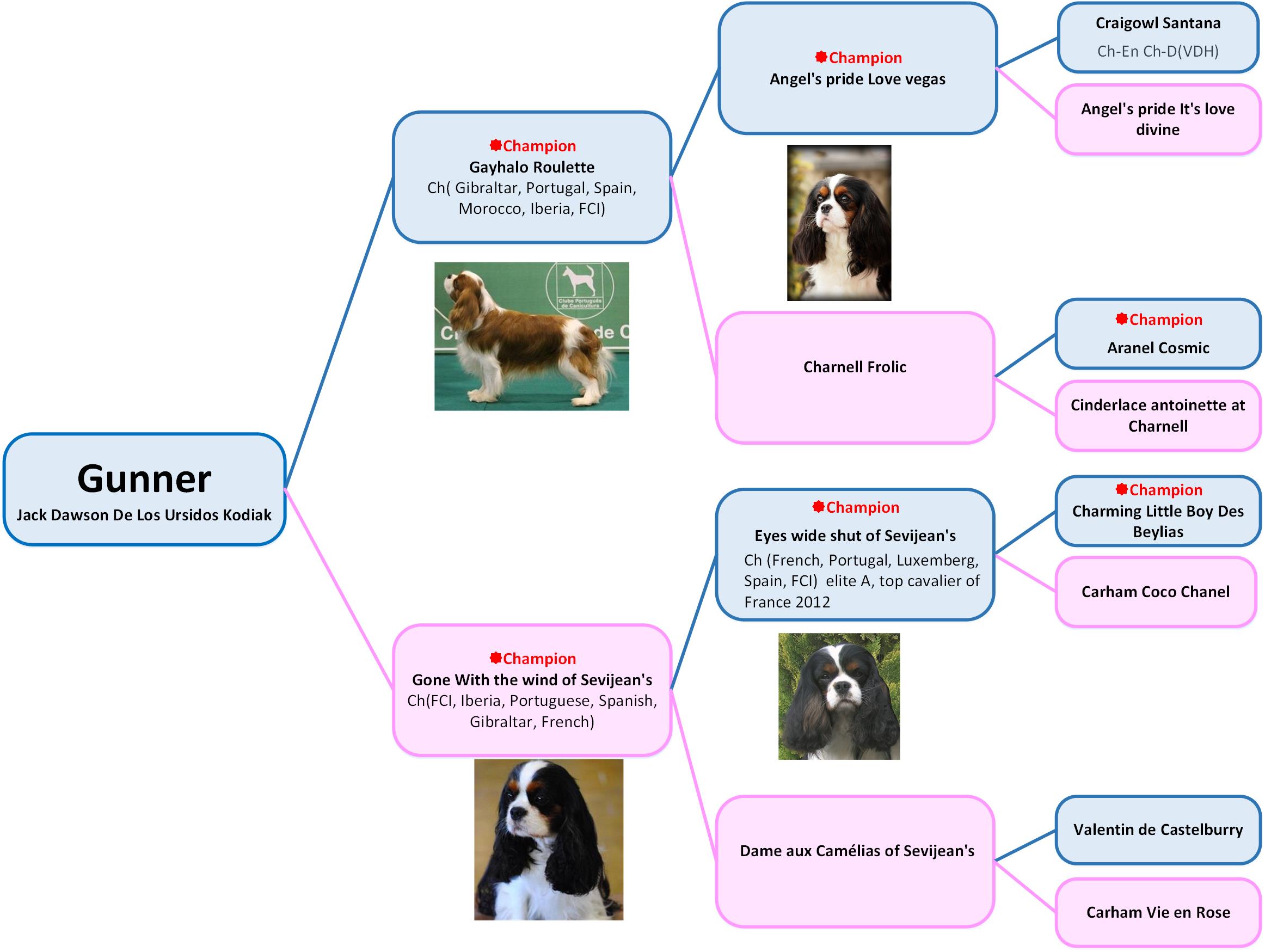 Gunner family tree